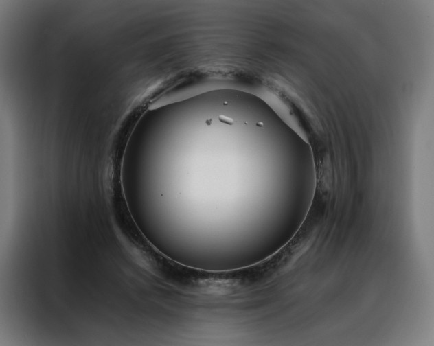 X0000088170448200705221625