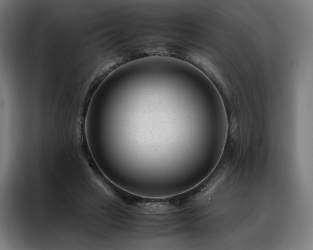 X0000088170449200705221625