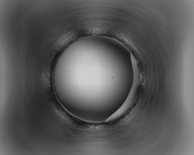 X0000088170450200705221625