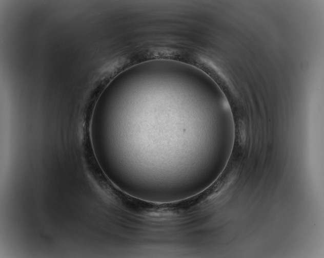 X0000088170451200705221625