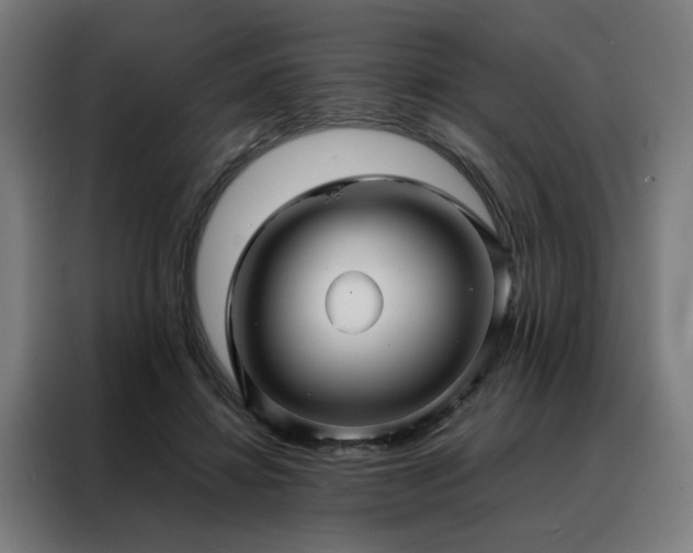 X0000088170452200705221625