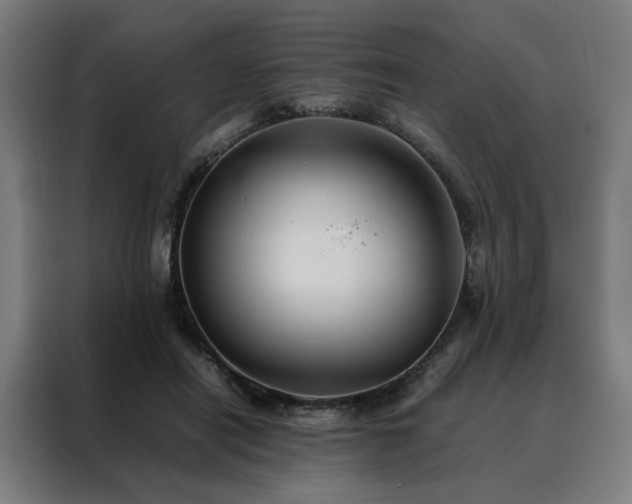 X0000088170454200705221625