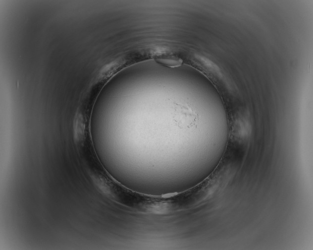 X0000088170456200705221625