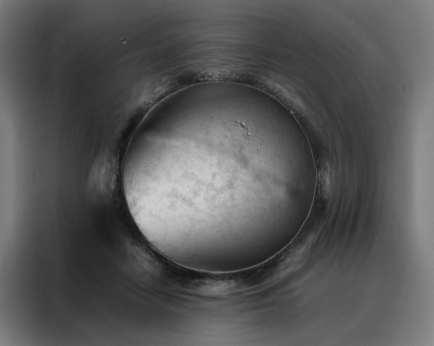 X0000088170458200705221625