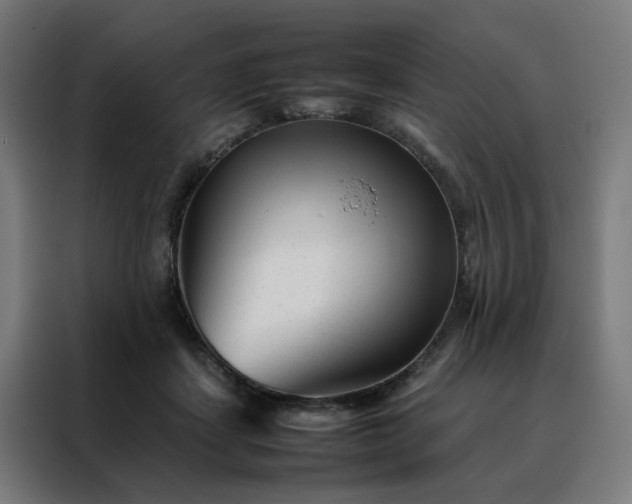 X0000088170459200705221625