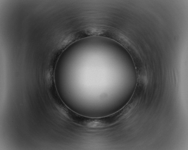 X0000088170460200705221625