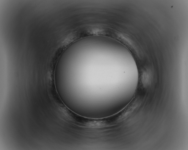 X0000088170461200705221625