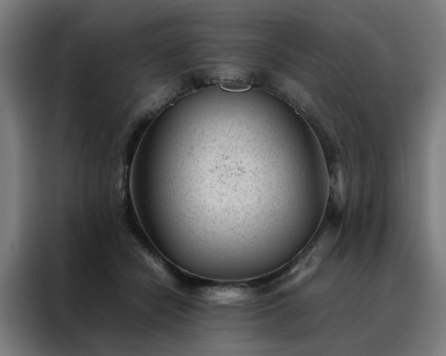 X0000088170462200705221625