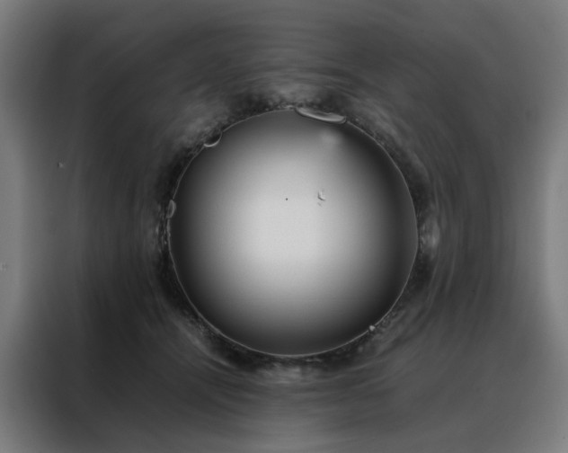 X0000088170464200705221625