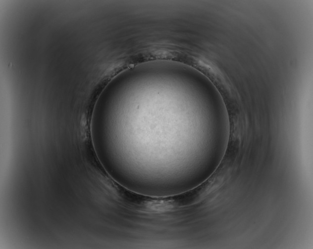 X0000088170465200705221625