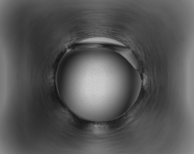 X0000088170466200705221625