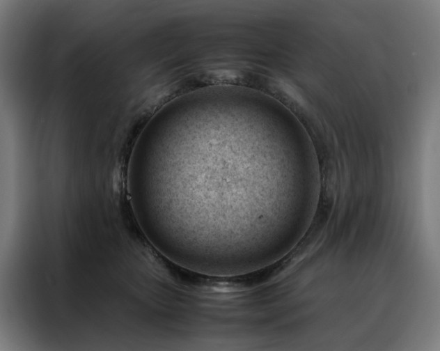 X0000088170467200705221625