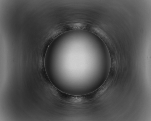 X0000088170469200705221625