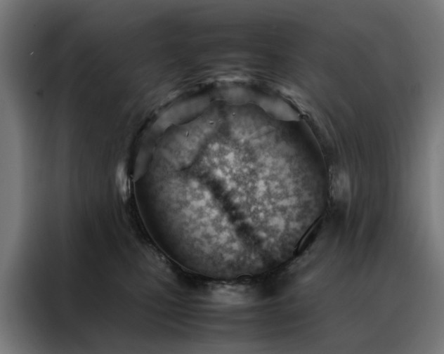 X0000088170471200705221625