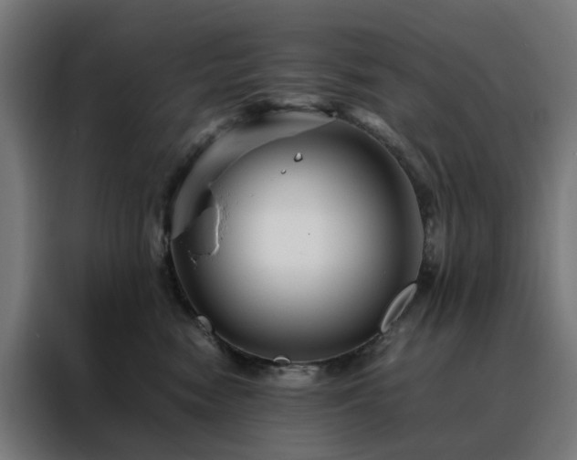 X0000088170474200705221625