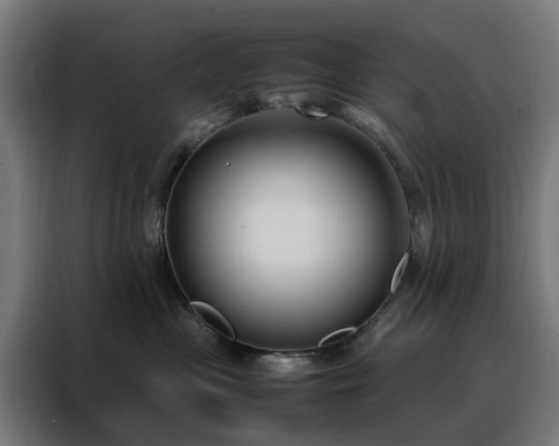 X0000088170477200705221625