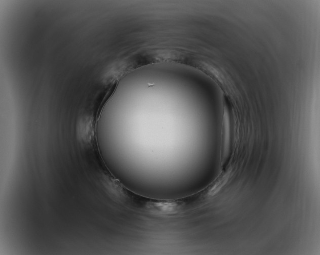 X0000088170478200705221625