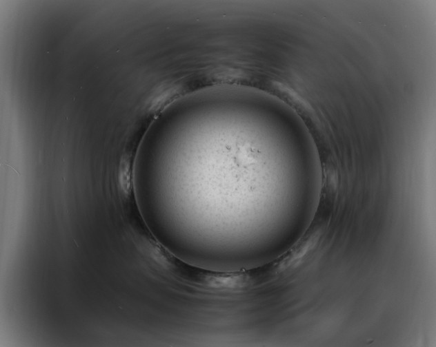 X0000088170479200705221625