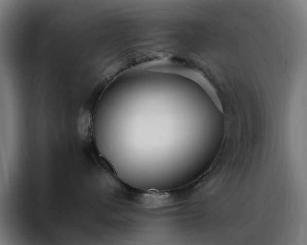 X0000088170480200705221625