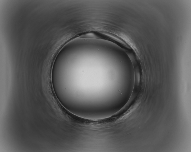 X0000088170481200705221625