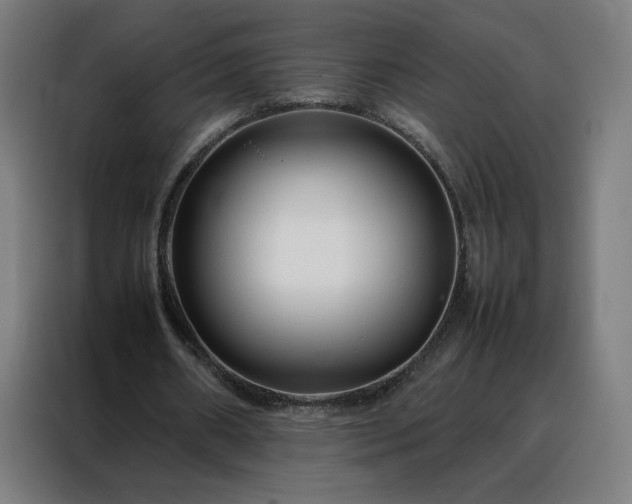 X0000088170482200705221625