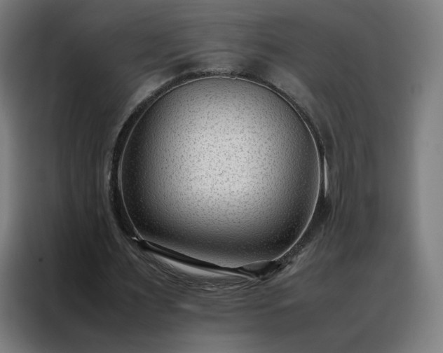 X0000088170483200705221625