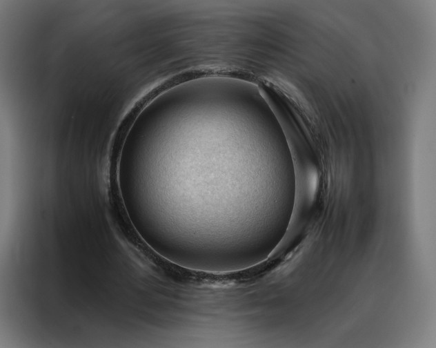 X0000088170484200705221625