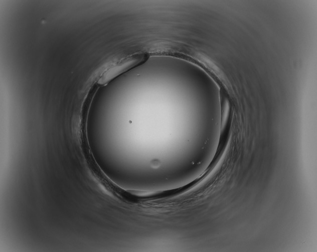 X0000088170485200705221625