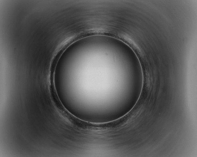 X0000088170486200705221625