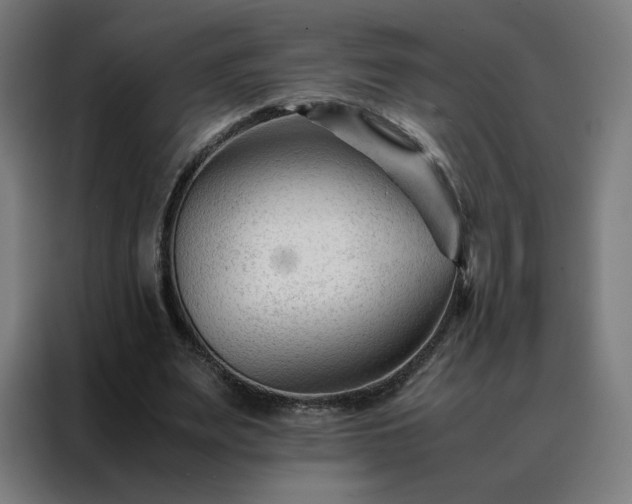 X0000088170487200705221625