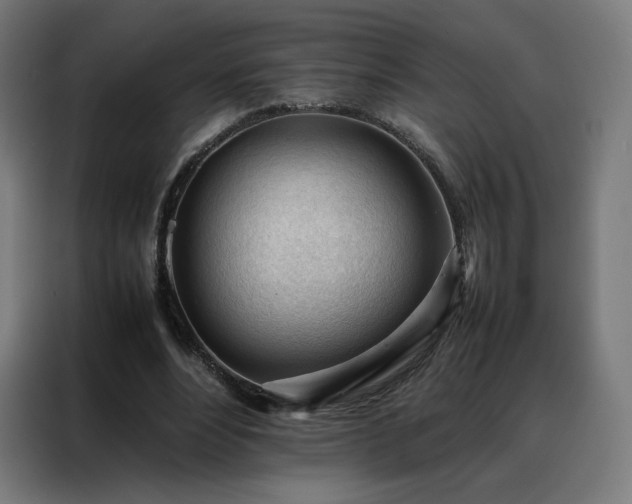 X0000088170488200705221625