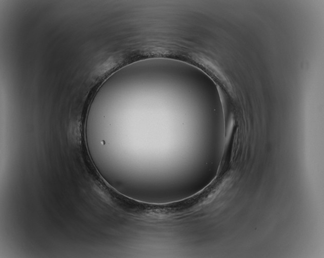 X0000088170489200705221625