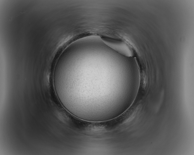 X0000088170491200705221624