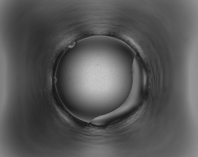 X0000088170493200705221624