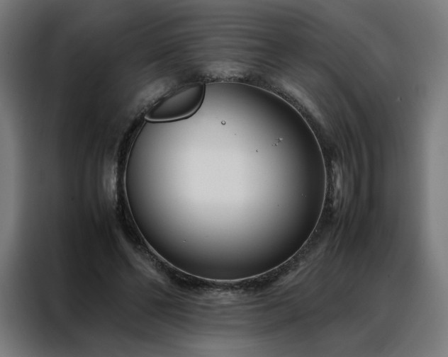 X0000088170494200705221624