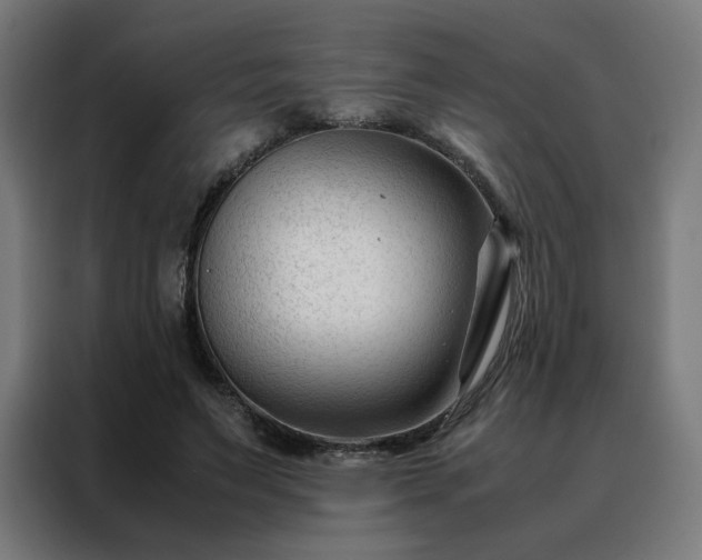 X0000088170495200705221624