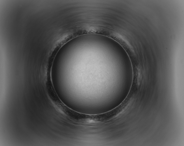 X0000088170496200705221624