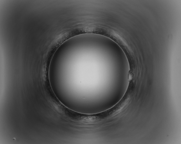 X0000088170497200705221624