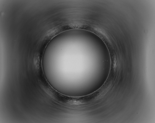 X0000088170498200705221624