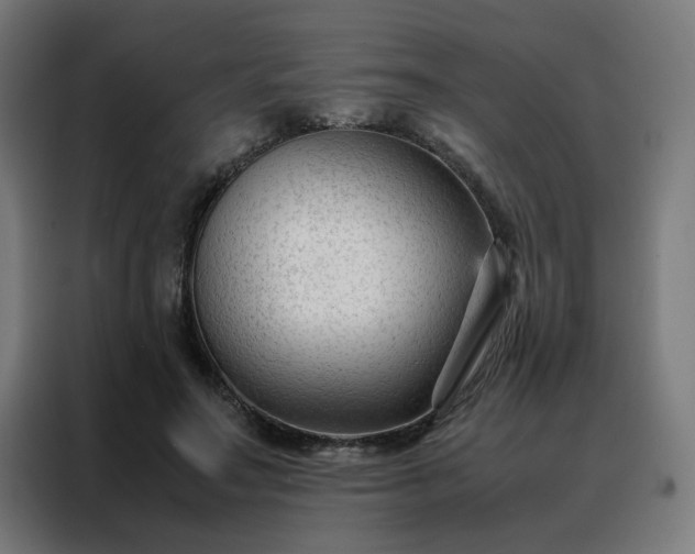 X0000088170499200705221624