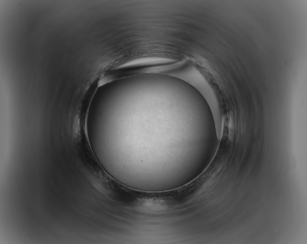 X0000088170500200705221624