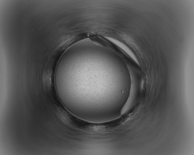 X0000088170501200705221624