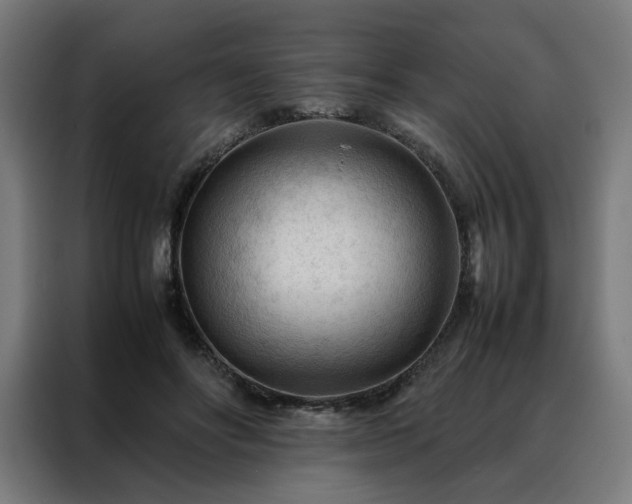 X0000088170502200705221624