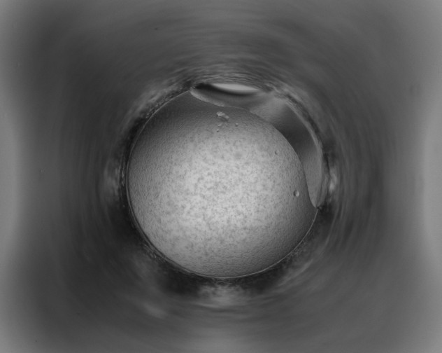 X0000088170503200705221624