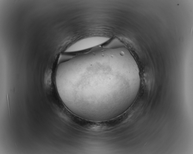 X0000088170504200705221624