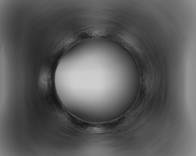 X0000088170506200705221624