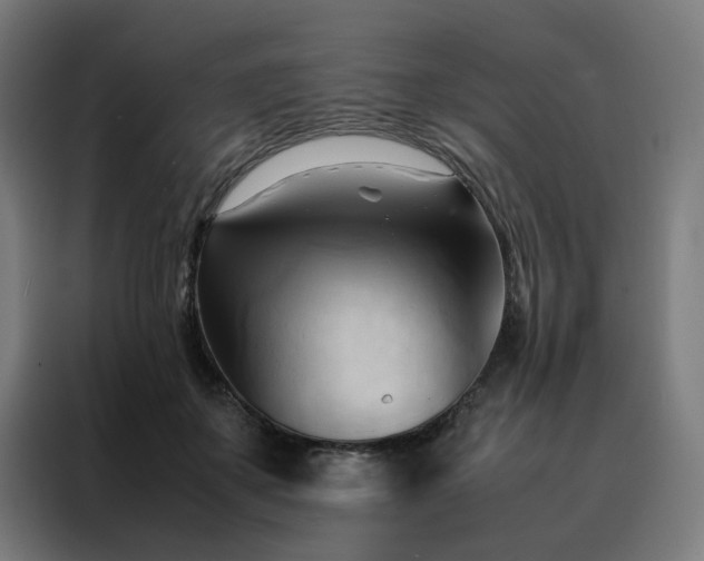 X0000088170507200705221624