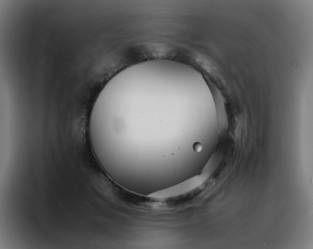 X0000088170509200705221624