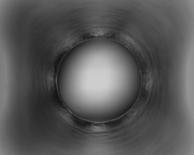 X0000088170510200705221624