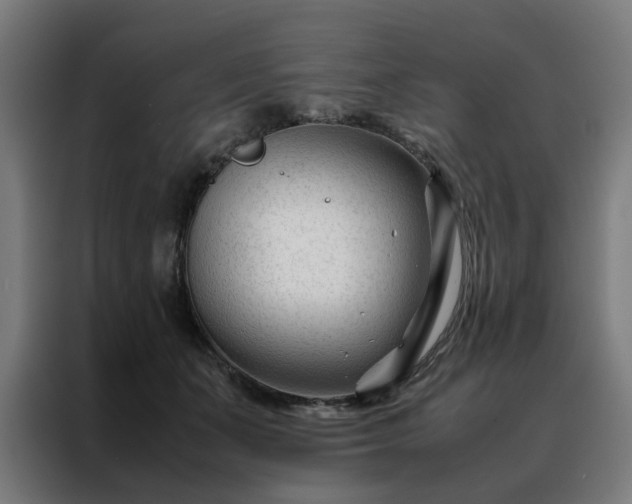 X0000088170511200705221624